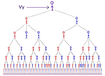 Vývod z předků, nejčastější genealogický výzkum současnosti